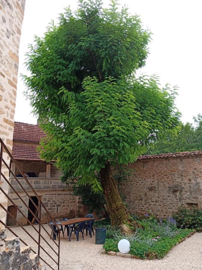Bed and Breakfast Les Granges De L Abbaye Ginals Exteriér fotografie