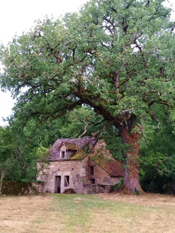 Bed and Breakfast Les Granges De L Abbaye Ginals Exteriér fotografie